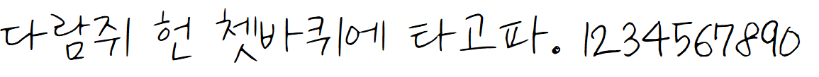 나눔손글씨 규리의 일기